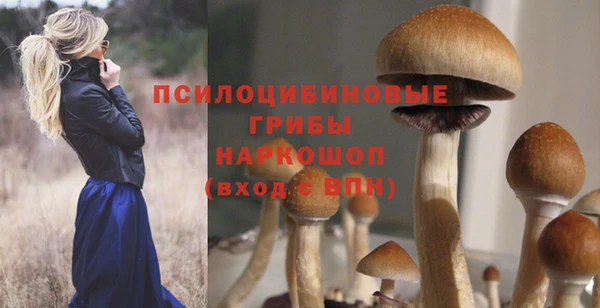 ГАЛЛЮЦИНОГЕННЫЕ ГРИБЫ Алзамай