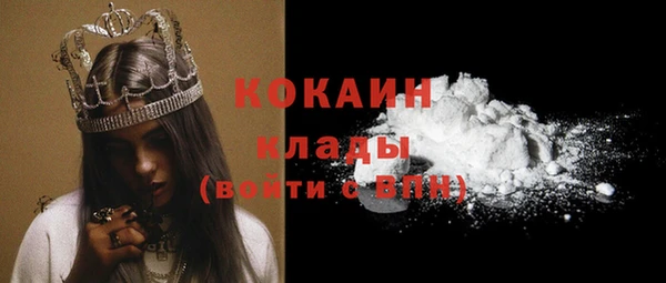 мдпв Семилуки
