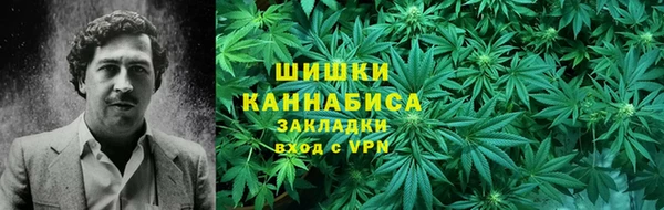 прущие грибы Алексин