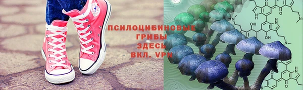 прущие грибы Алексин